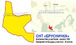 Схема садового товарищества "Брусничка"